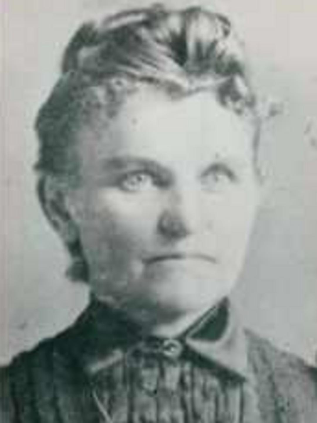 Mary Augusta Thomsen (1854 - 1930) Profile